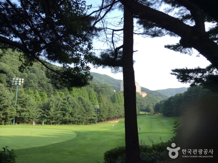 양지 파인골프클럽