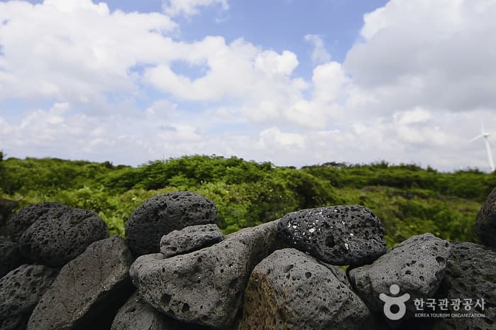 제주_마음에 위안을 주는 제주의 맛01