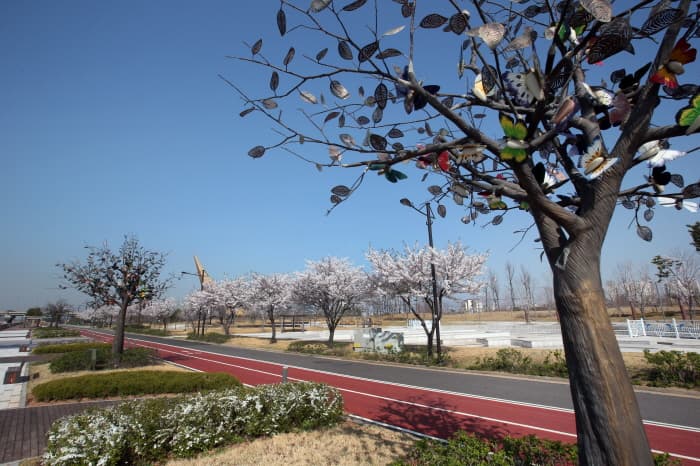 영종씨사이드 레일바이크(4)