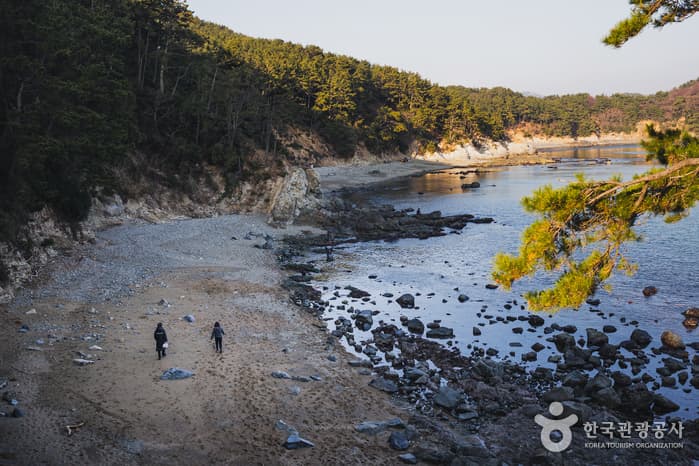 한국관광공사 추천 2월 걷기여행길_해안누리길 몰운대길_3
