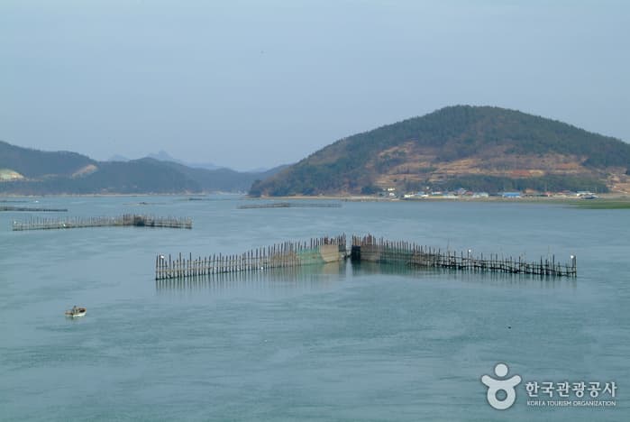 Метод традиционного рыболовства – сливные ловушки «чукпаннём» (원시어업죽방렴)