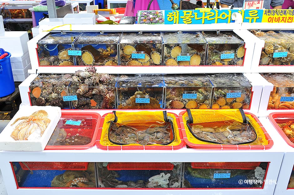 여수수산시장_3