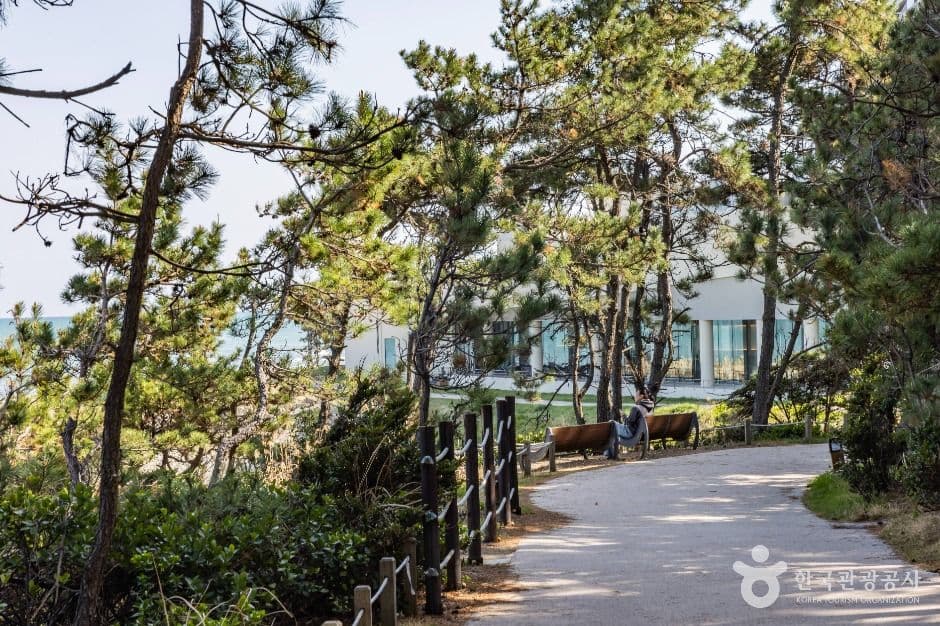 부산_오시리아 해안산책로 (3)