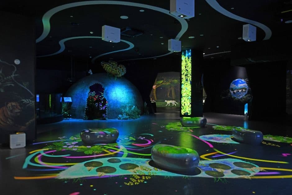 DMZセンセンヌリ（DMZ 생생누리）