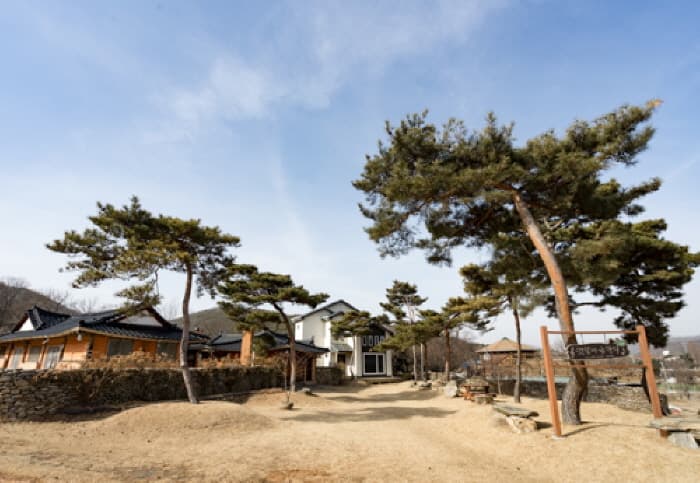 [인천 강화] 옛날에 금잔디 9