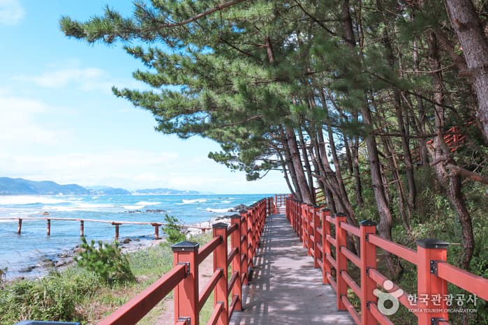 여기가 ‘버터’ 촬영지 맞나요? BTS 순례지로 다시 태어난 삼척 10