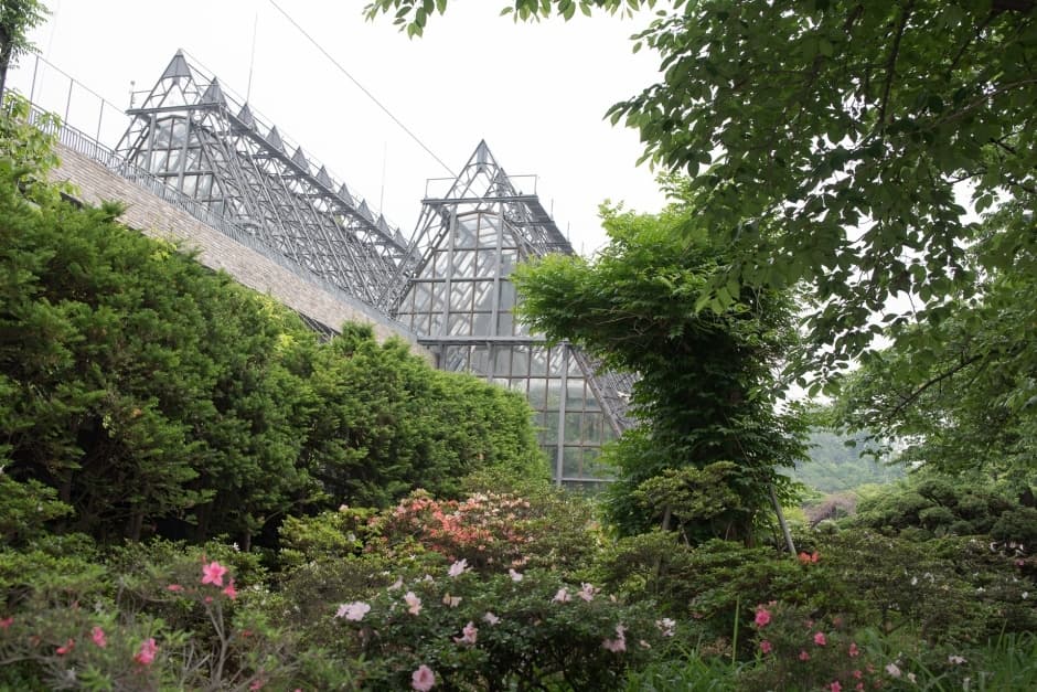 Grand Parc des Enfants de Séoul (서울 어린이대공원)
