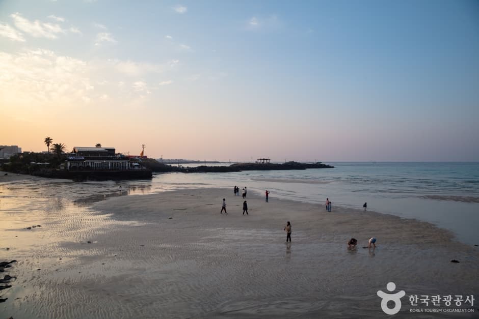 咸徳 犀牛峰海辺（咸徳海水浴場）（함덕 서우봉 해변（함덕해수욕장））