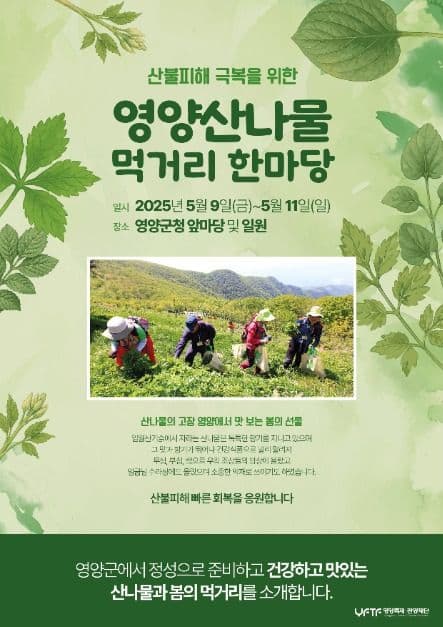 2025 산불피해 극복을 위한 영양산나물 먹거리 한마당 포스터