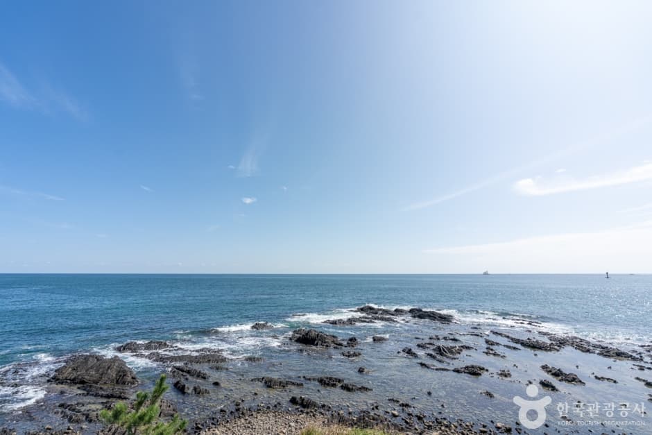 경북_포항_구룡포해수욕장 (6)