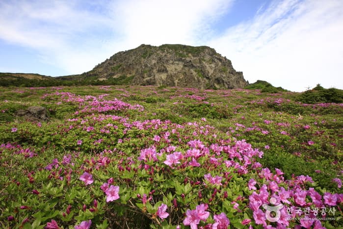 Ruta Yeongsil del Monte Hallasan (한라산 영실)