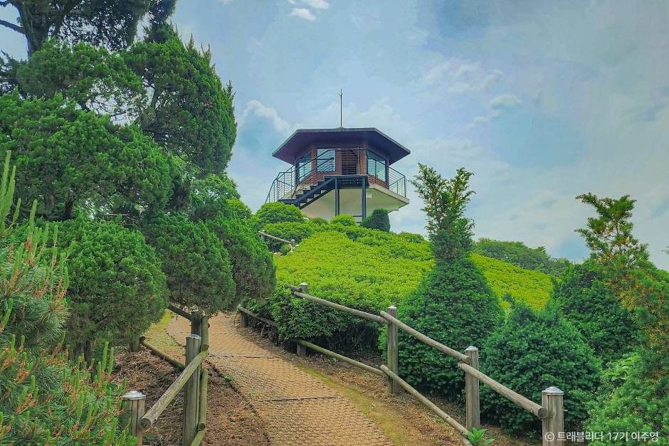 세종 아이와 가볼만한 곳_베어트리 파크_1-11