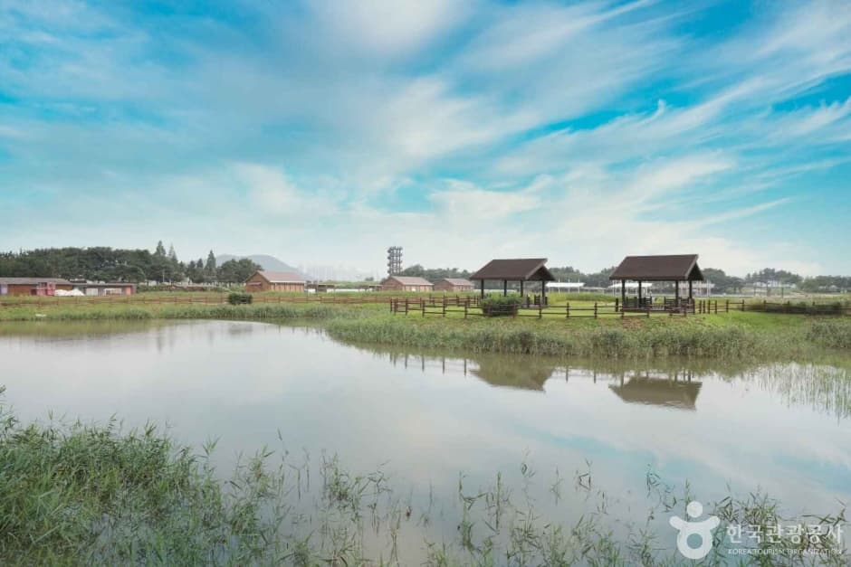 Экологический парк Кэтколь в Сихыне (시흥 갯골생태공원)
