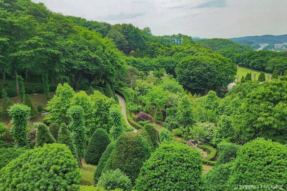 세종 아이와 가볼만한 곳_베어트리 파크_1-12