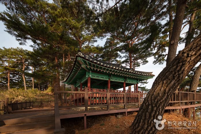 Pavillon Jukdojeong & Aussichtsplattform Jukdo (죽도정&죽도 전망대)