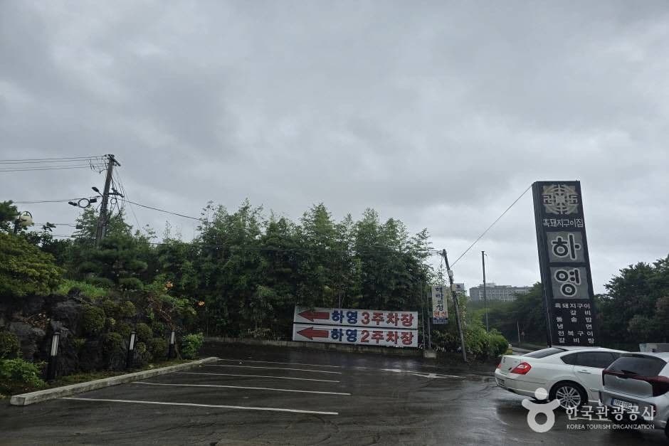 Heukdwaejiguijip Hayeong (흑돼지구이집 하영)