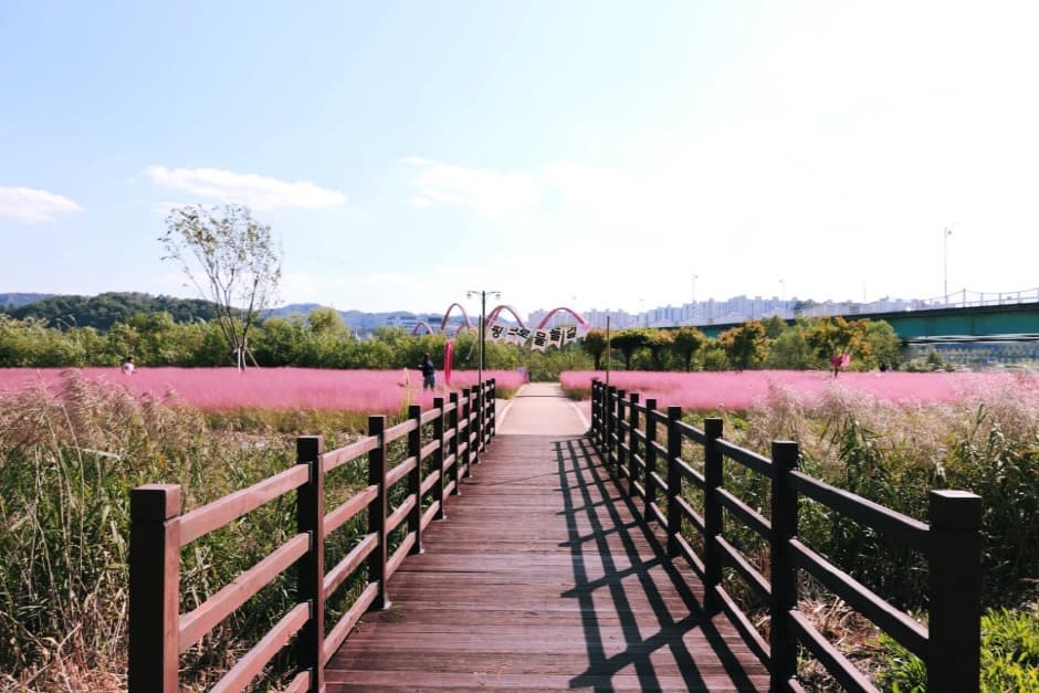 Grass园(그라스원)