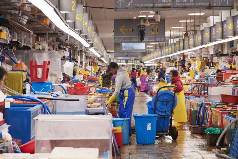 부산 자갈치시장 (4)