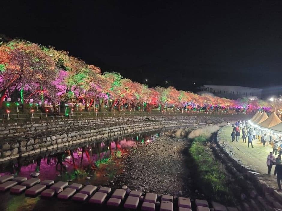 2025 수안보온천제 2