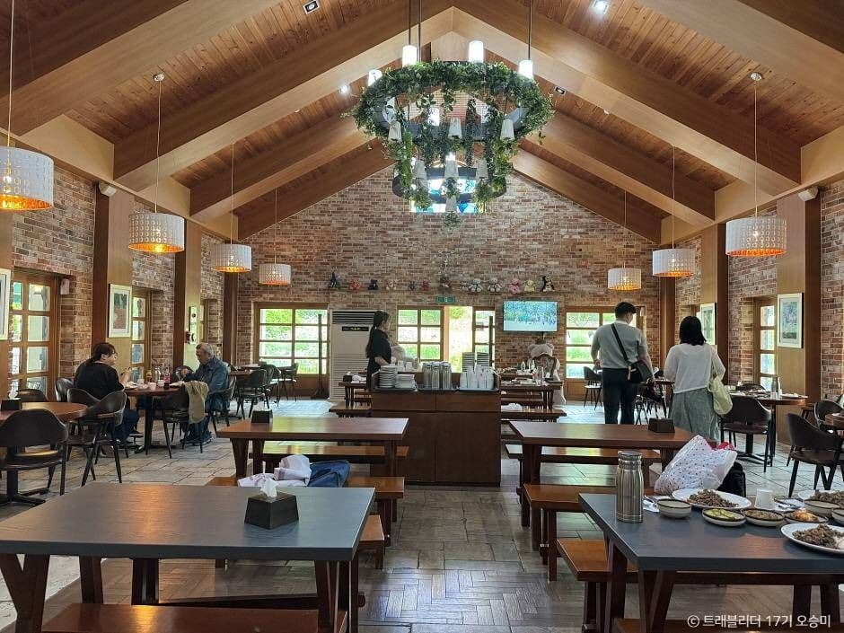 세종 아이와 가볼만한 곳_베어트리 파크_1-5