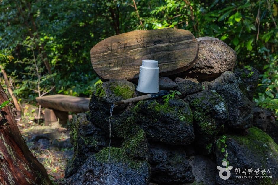 西归浦治愈林 (서귀포 치유의 숲)