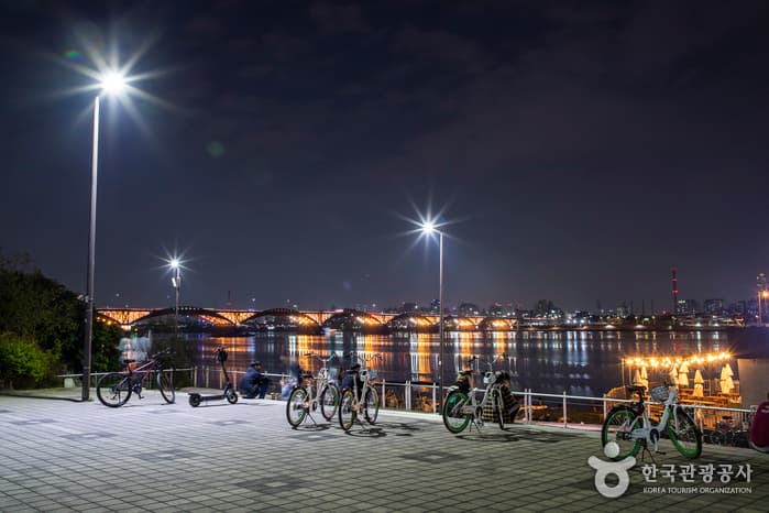 蘭芝漢江公園(난지한강공원)