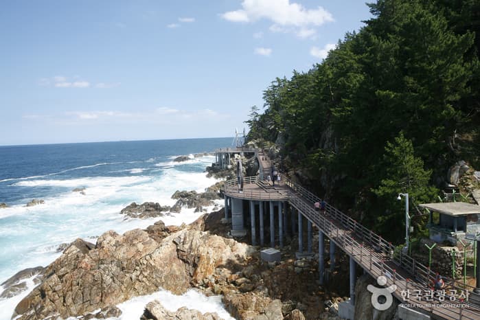 강원_삼척_기암괴석과 출렁다리의 앙상블, 삼척 초곡용굴촛대바위길_04