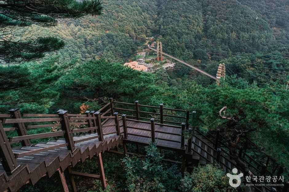 좌구산 자연휴양림