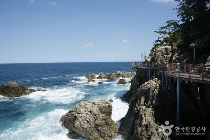 강원_삼척_기암괴석과 출렁다리의 앙상블, 삼척 초곡용굴촛대바위길_05