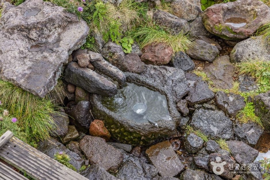 제주_한라산 영실 (4)