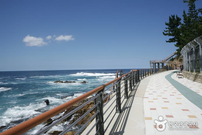 강원_삼척_기암괴석과 출렁다리의 앙상블, 삼척 초곡용굴촛대바위길_07