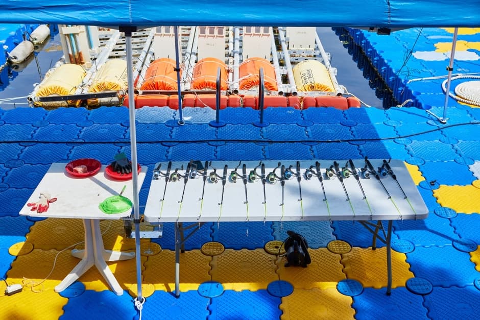 마린어드벤쳐파크 (4)