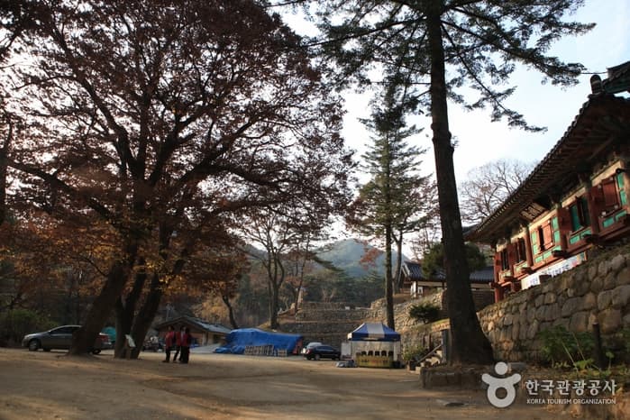 [대구올레 팔공산 2코스] 한실골 가는 길