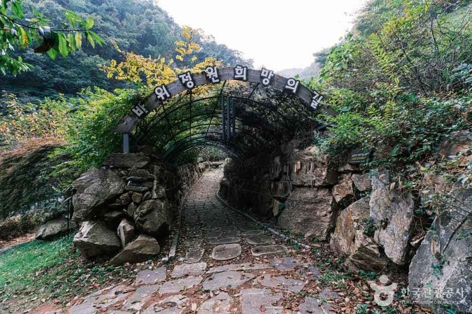 좌구산 자연휴양림