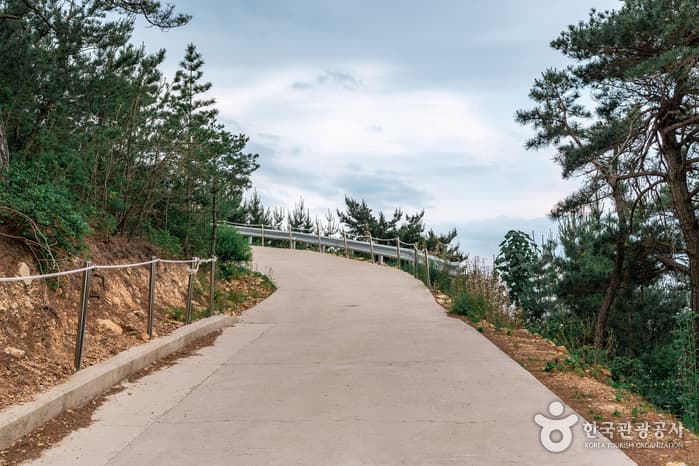 It’s 체리 타임! 6월 한정판 체험 새콤달콤한 체리 따러 포항으로_곤륜산 활공장_02