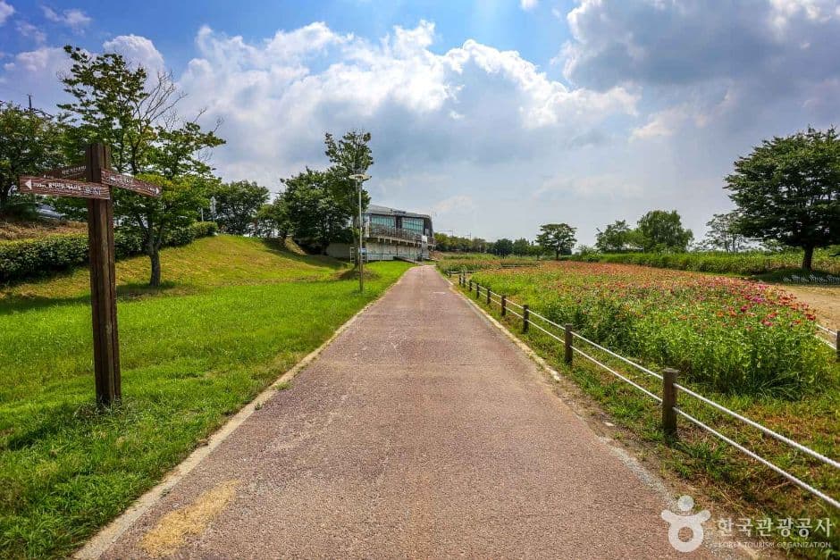 Fahrradweg Yeongsangang (영산강 자전거길)