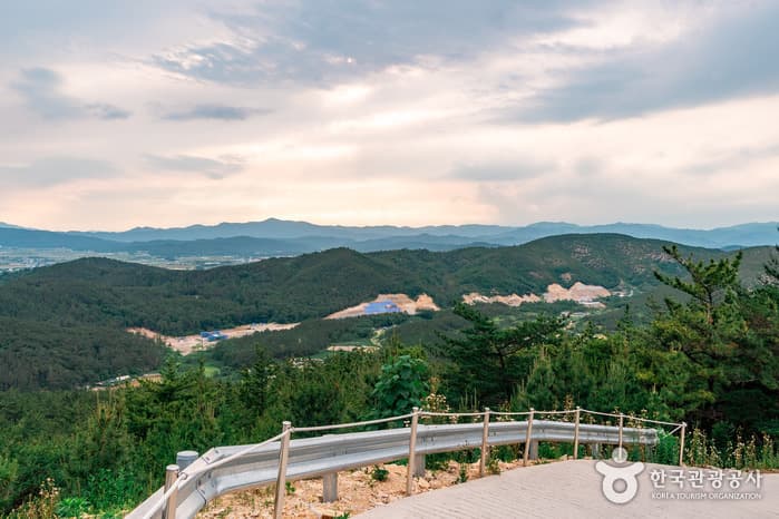 It’s 체리 타임! 6월 한정판 체험 새콤달콤한 체리 따러 포항으로_곤륜산 활공장_03