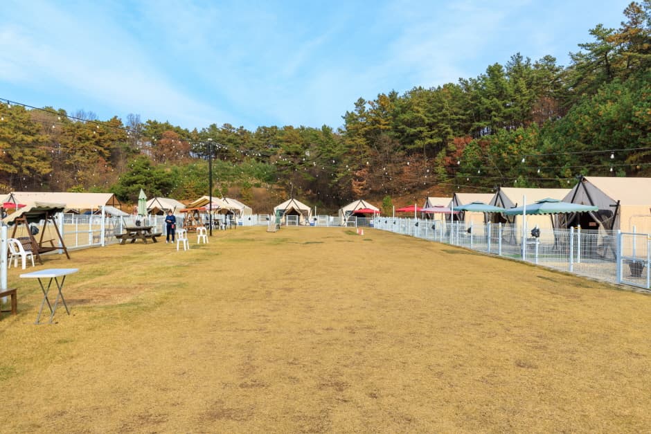 멍글멍글 펫 글램핑