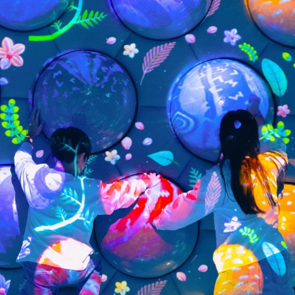 원더아일랜드 (4)