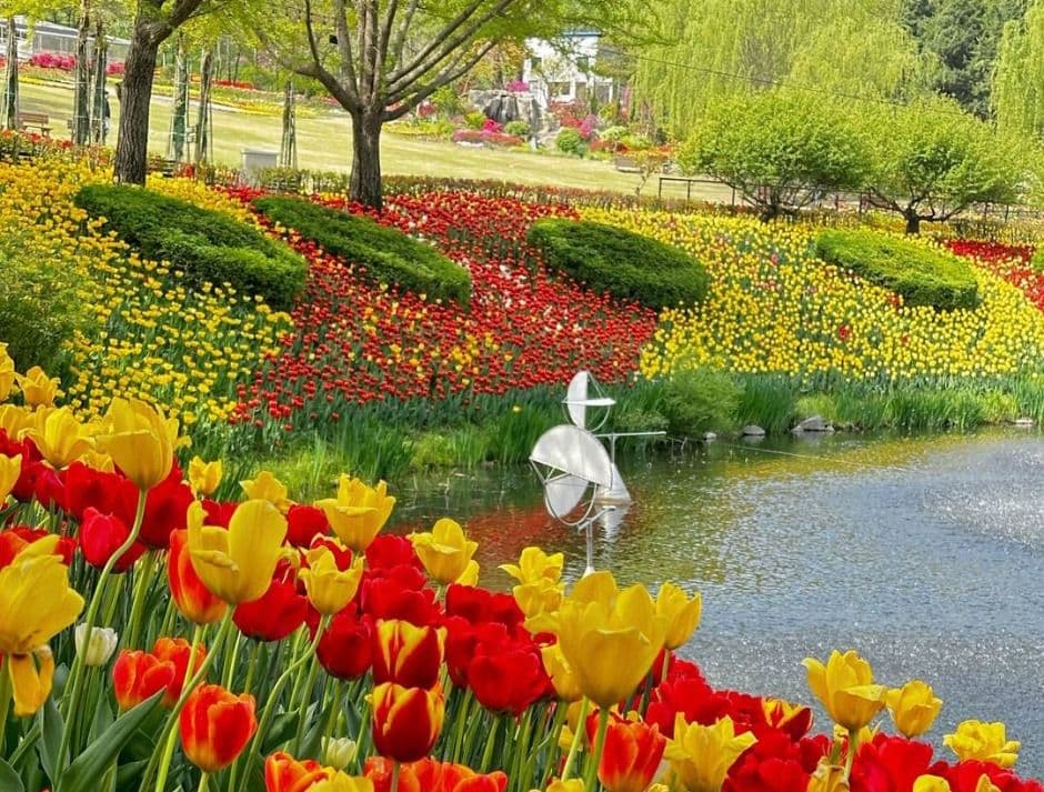 Pinnacleland 郁金香,水仙花庆典（피나클랜드 백만송이 튤립 수선화 봄꽃대향연）