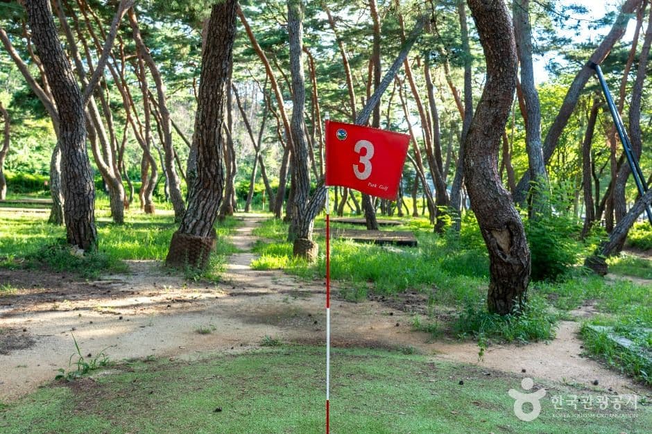 청송_목계솔밭 (5)