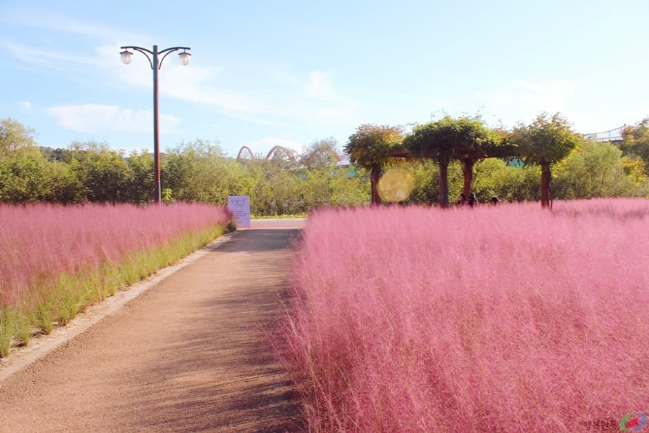 グラス園(그라스원)