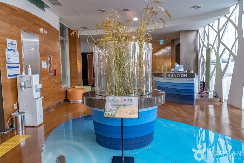 용인농촌테마파크 농경문화전시관 (7)