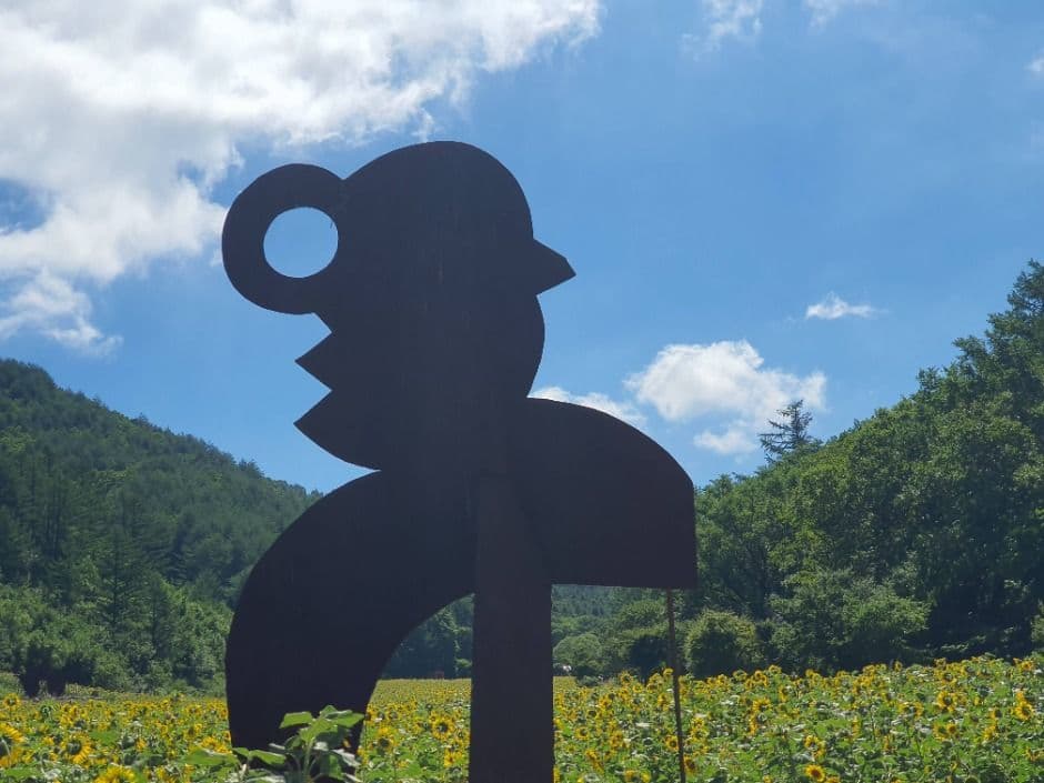 2025 태백 해바라기축제 2