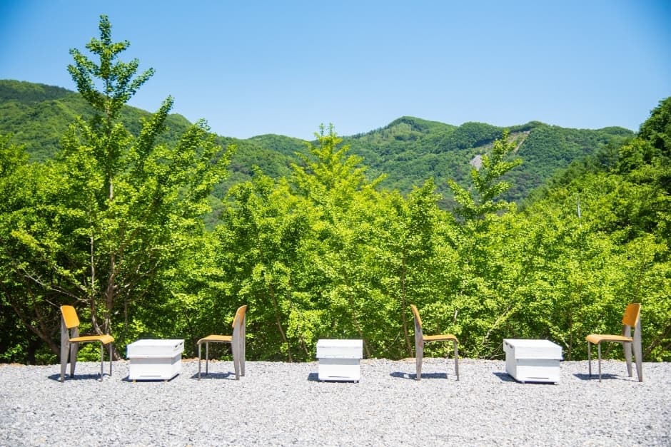 Yellow Tree Cafe（옐로우트리 카페）