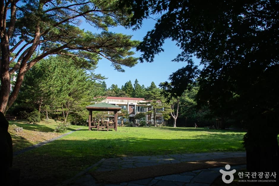 Bosque Recreativo Natural de Seogwipo (서귀포자연휴양림)