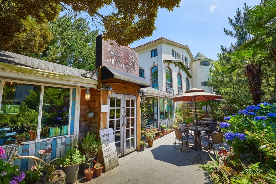 チェデガヌンギル（제대가는길）