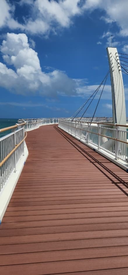 ヘウォル展望台（해월전망대）