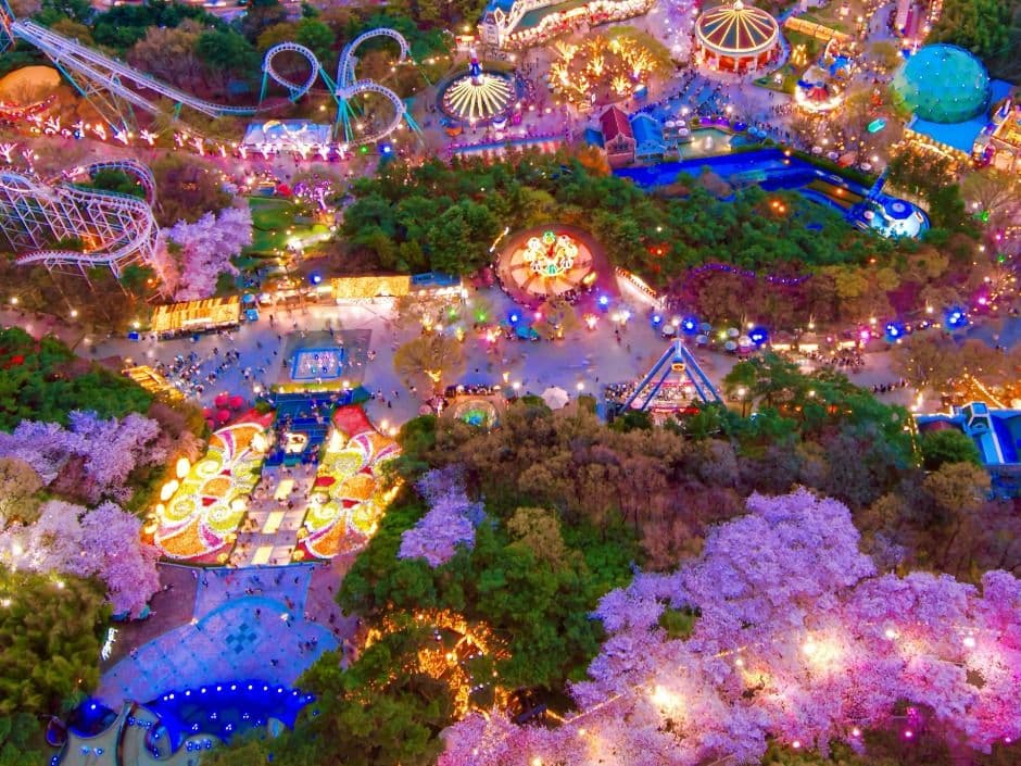 E-WORLD樱花节  이월드 블라썸 피크닉