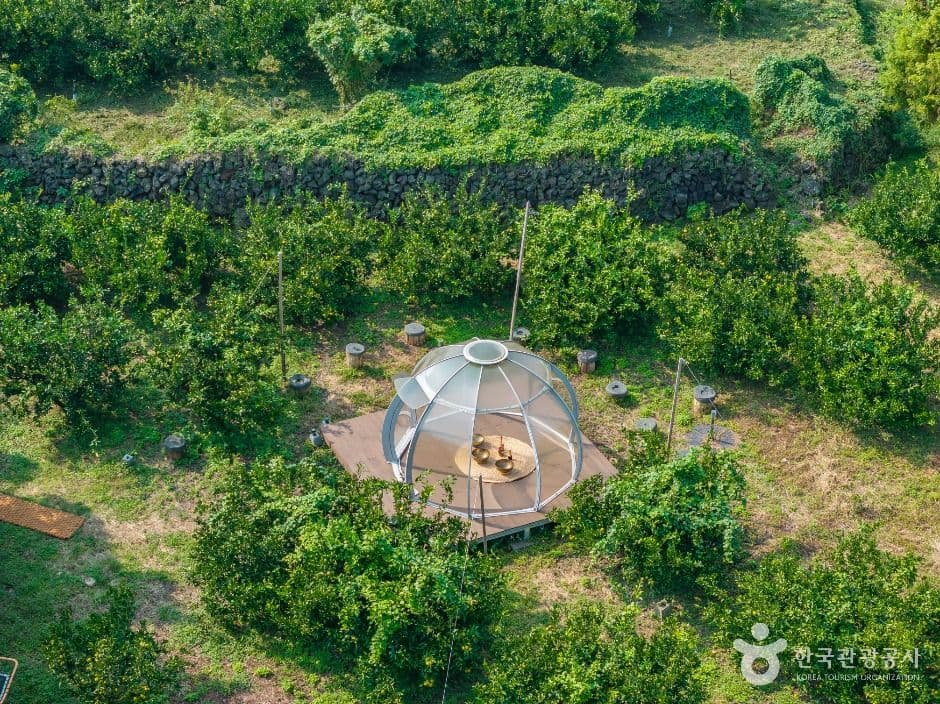 チェウォンハヌル農園 (제원하늘농원)